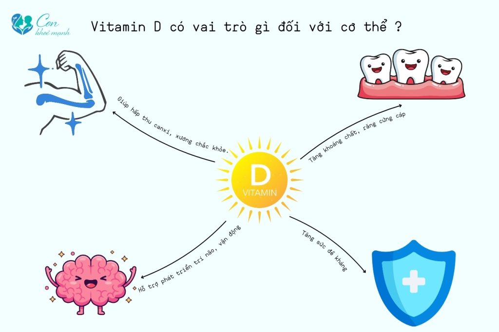 Vitamin D có vai trò gì đối với cơ thê